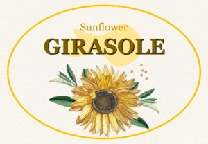 Camera Girasole