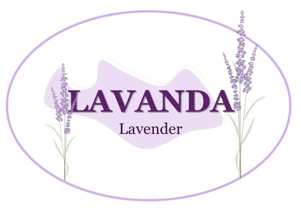 Camera Lavanda