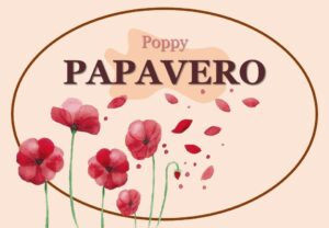 Camera Papavero